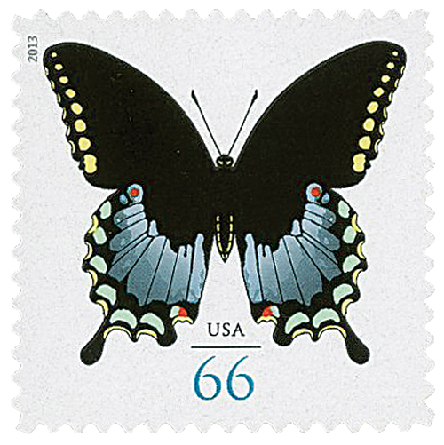 USPS California Dogface Butterfly (5 Sheets of 20) Non-Machineable for  Square Envelopes Postage Stamps 2019 Scott #5346