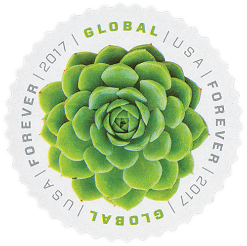  Green Succulent Sheet of 10 Global USPS First Class International  Forever Postage Stamps (2) : Office Products